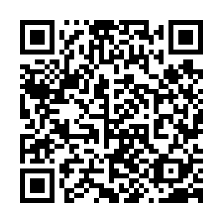 QR code for plate 69N 629