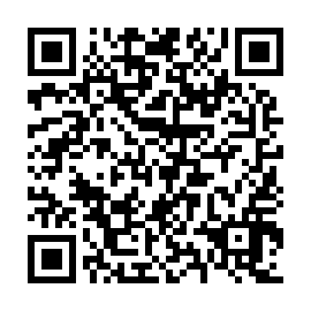 QR code for plate 69N 916