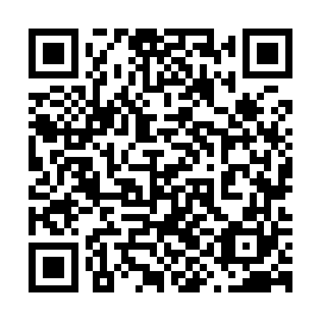 QR code for plate 69N 960