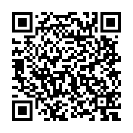 QR code for plate 69S 519