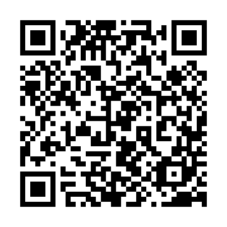 QR code for plate 69V 040
