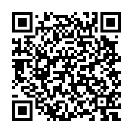 QR code for plate 69W 011