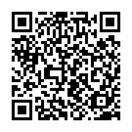 QR code for plate 69W 750