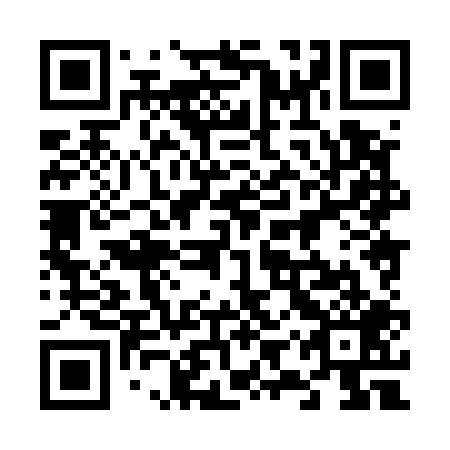 QR code for 69X509