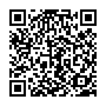 QR code for plate 69Y 438