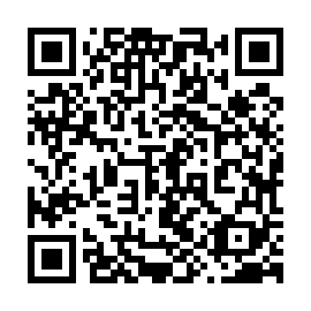 QR code for plate 69Z 569