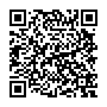 QR code for plate 6A9 028