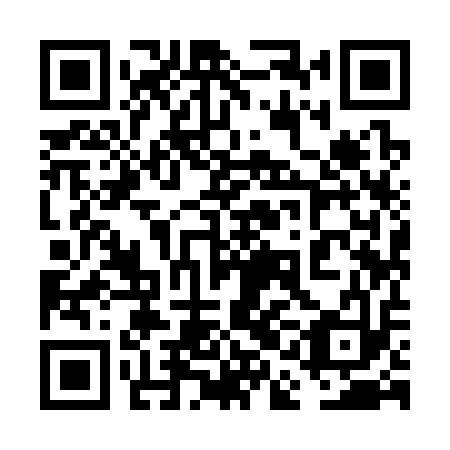 QR code for 6AI313