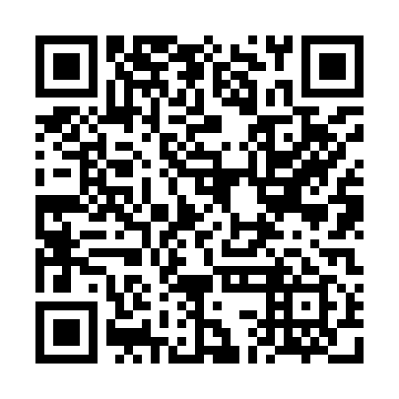 QR code for plate 6CN 919