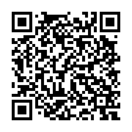 QR code for 6D0 063