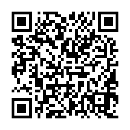 QR code for plate 6DE 950