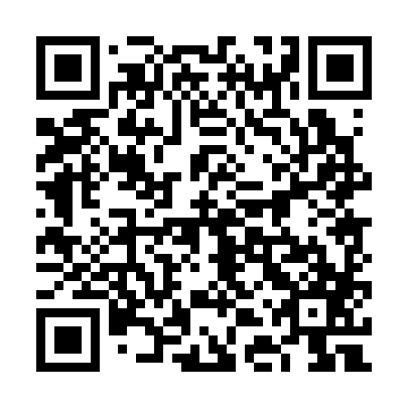 QR code for 6DP387
