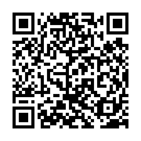 QR code for plate 6DY V11