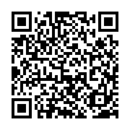 QR code for plate 6E2 333