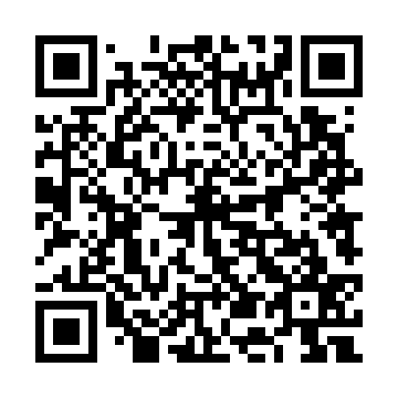 QR code for 6E4 737