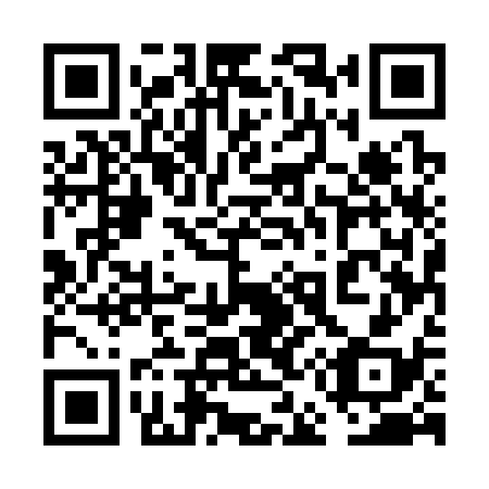 QR code for plate 6E5 338