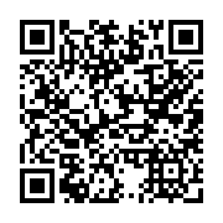 QR code for plate 6E7 387