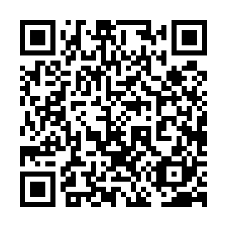 QR code for plate 6G0 520