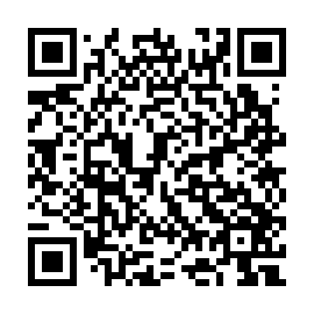 QR code for plate 6G3 346