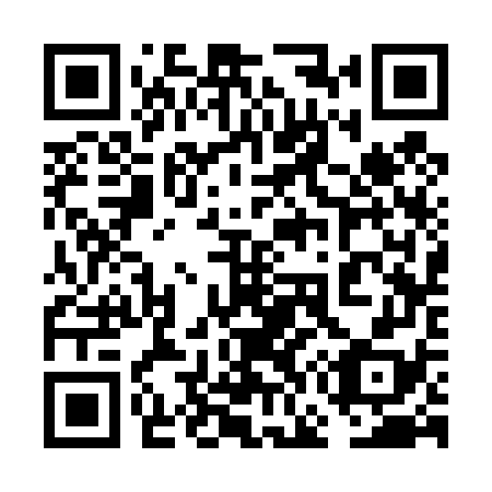 QR code for plate 6G3 478