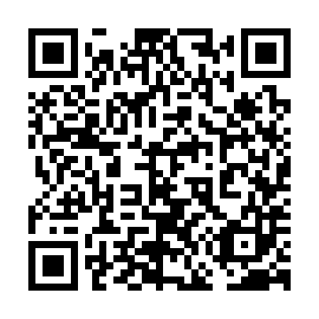 QR code for plate 6G7 383