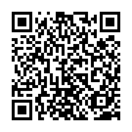 QR code for plate 6G9 500