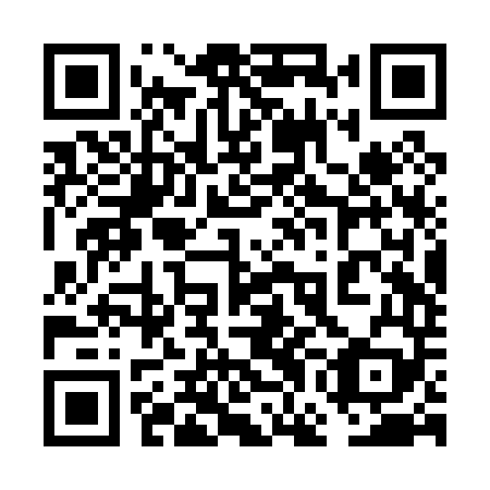 QR code for 6GB P49