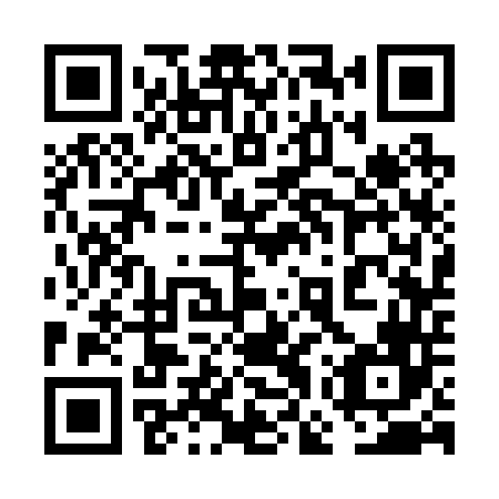 QR code for plate 6GS 246