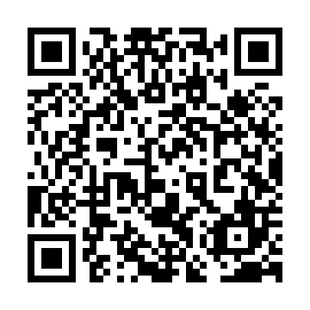 QR code for plate 6GV X06