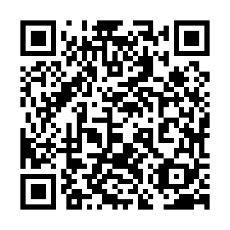QR code for plate 6GZ 169