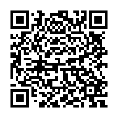 QR code for 6IIN06