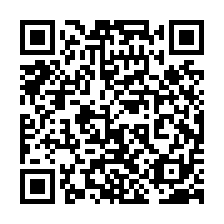 QR code for plate 6IP N11