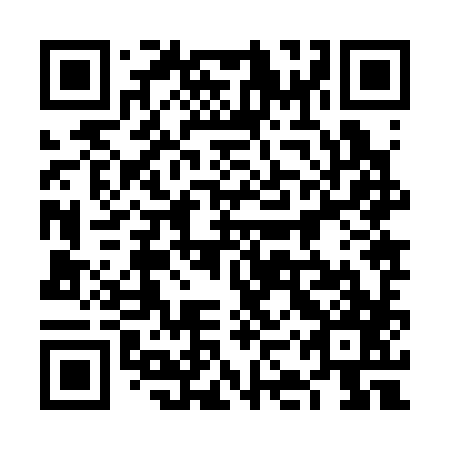 QR code for plate 6KZ 387