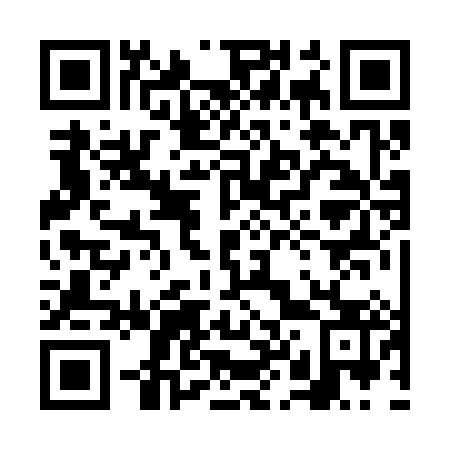 QR code for plate 6L2 383