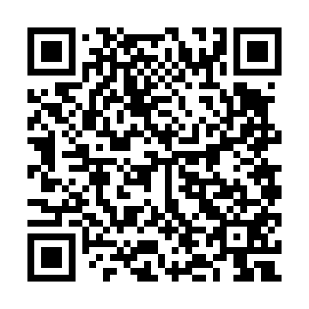 QR code for 6L6 451