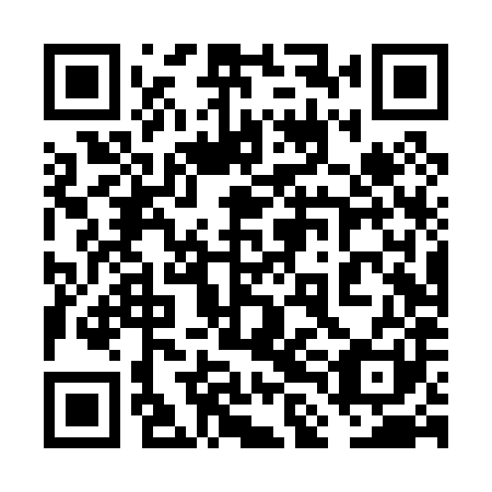 QR code for plate 6LD P81