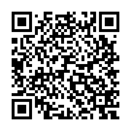 QR code for plate 6LE 119
