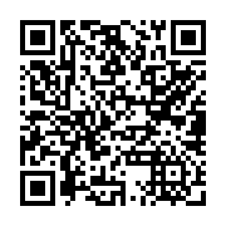 QR code for plate 6MG R96