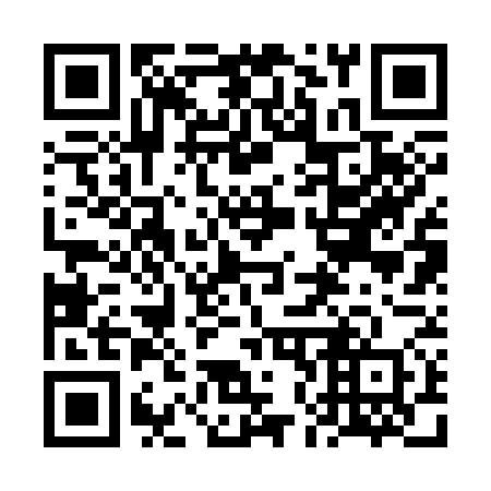 QR code for plate 6N2 370