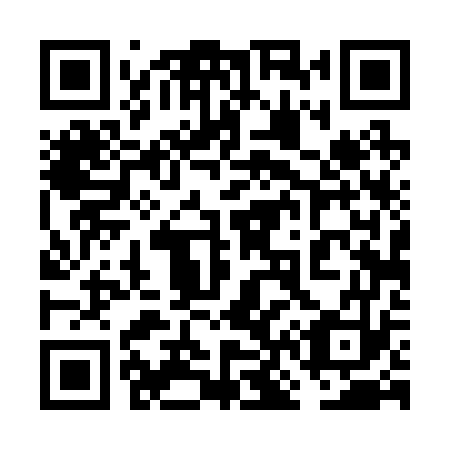 QR code for 6N4 273