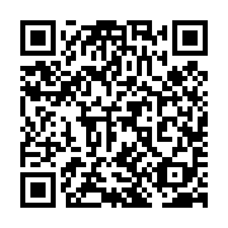QR code for 6N6 499