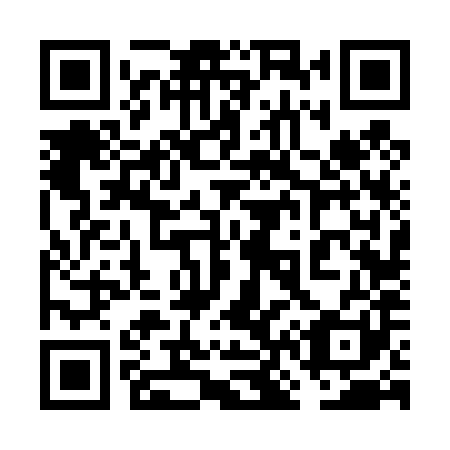 QR code for plate 6N6 481