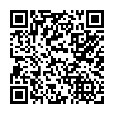 QR code for plate 6N9 294