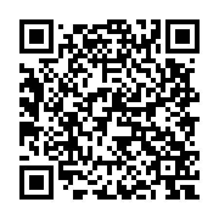 QR code for plate 6NX 563