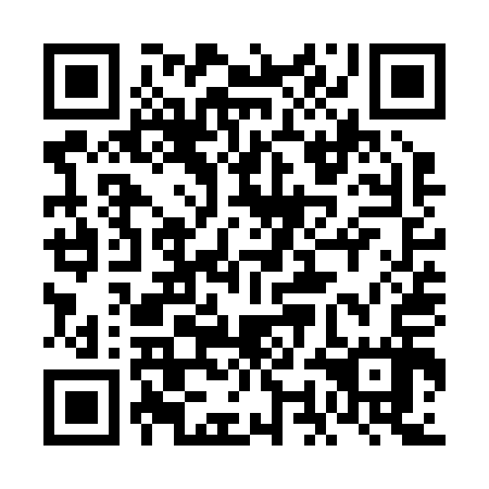QR code for plate 6OO R17