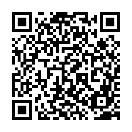 QR code for 6P3 166