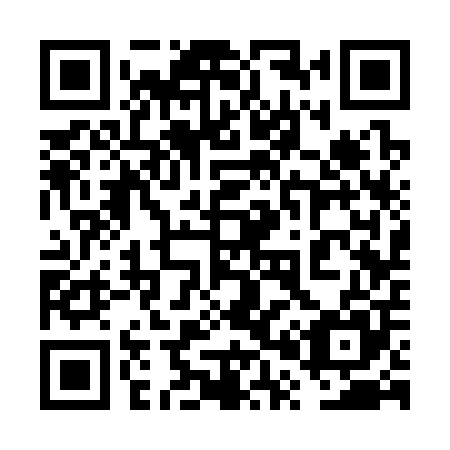 QR code for 6P3 305