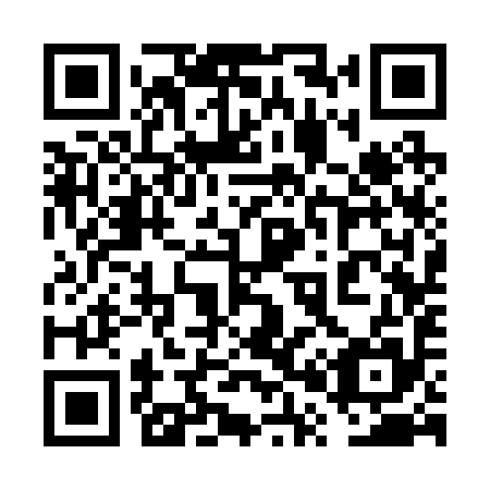 QR code for 6P3295