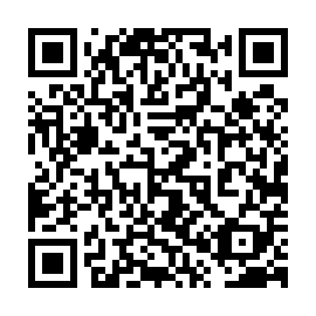 QR code for 6P4 509