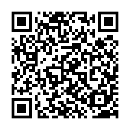 QR code for plate 6P6 595